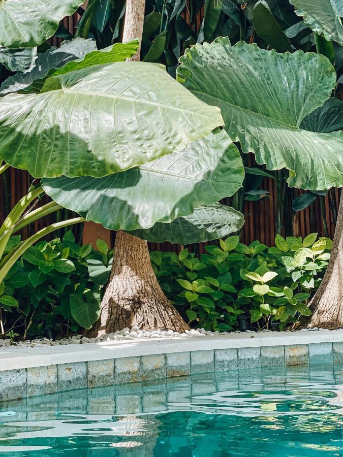 Beyond Bayou Seminyak Eksteriør billede